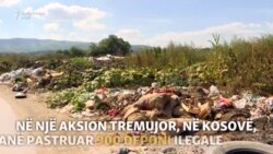 Sa janë aktivë të rinjtë kosovarë në ruajtjen e mjedisit?