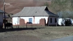 Ээнсиреген Алайкуу