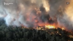 Požari u Australiji – katastrofa ili opomena?