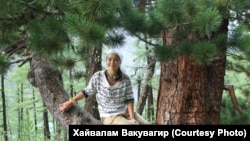 Хайвалам – "мать кедра"