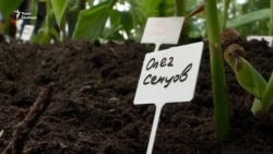 Митці нагадали про в’язнів Кремля: «Саджайте квіти, а не людей!» – відео