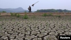 Илустративна фотографија. 