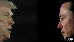 Дональд Трамп та Ілон Маск (комбіноване фото)