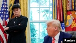 Ілон Маск та Дональд Трамп в Овальному кабінеті
