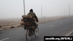Велосипедист на дороге в Ферганской области Узбекистана.