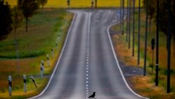 Vitalitatea federalismului în vremuri de pandemie