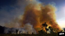 Illegálisan égetik fel az esőerdőt Novo Progressotól délre, 2020. augusztus 15-én.