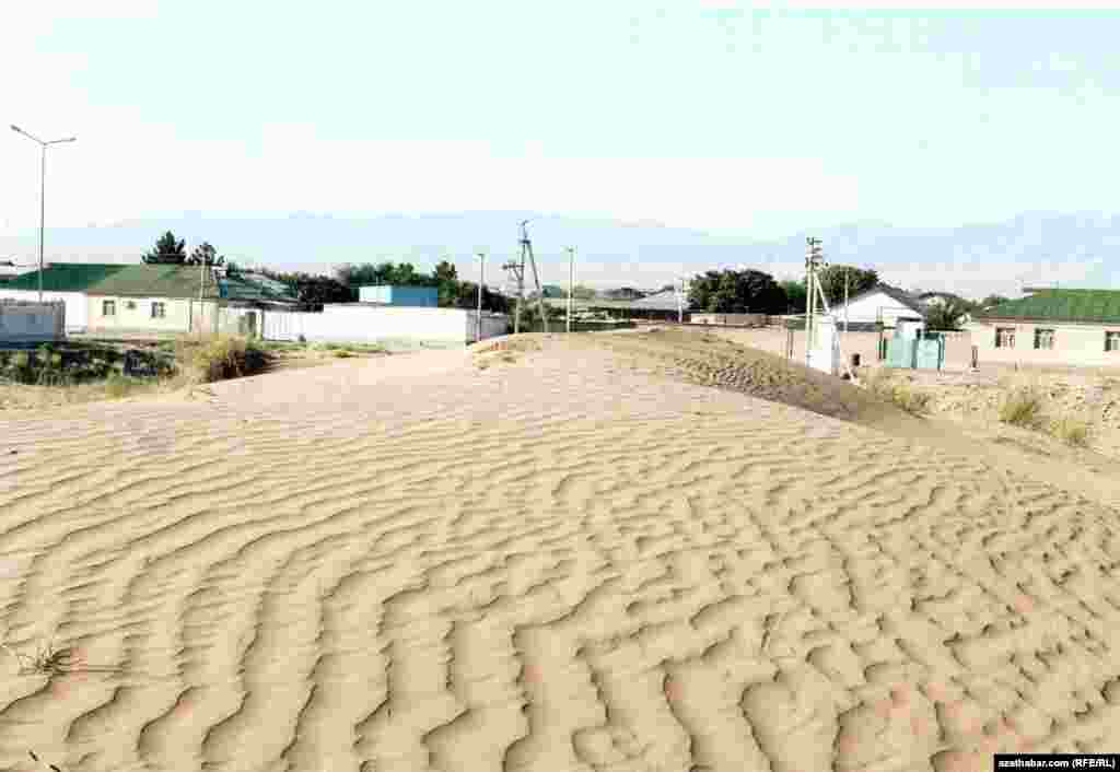 Центральная улица поселка Чоганлы в пригороде Ашхабада.