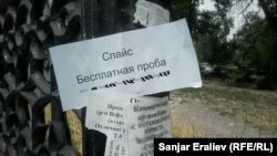 Бишкектеги жарыялардын бири.