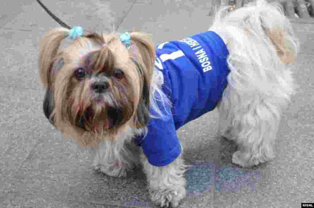 Euforija u Sarajevu #38