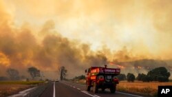 Түркиянын талааларын каптаган өрт. 