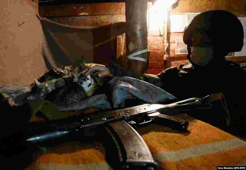 Војник на сепаратистичката област Доњецк си игра со мачки во засолништето на фронтот во близина на проруските милитанти контролирани од градот Хорливка, Доњецка област, Украина, 24 ноември 2020 година. &nbsp;
