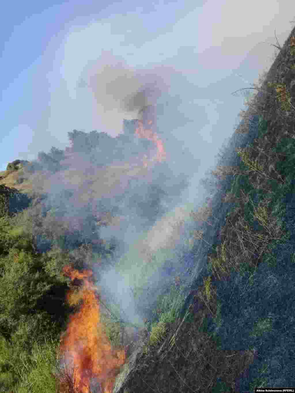 На борьбу с огнем брошены силы пожарных служб нескольких районов Таласской области.