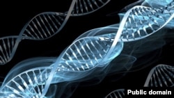 Ілюстраційне зображення