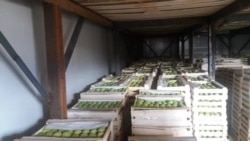 Кыргызстандагы соода-логистикалык борборлордун бири.