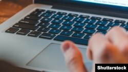 Ариптакта сүрөтү.