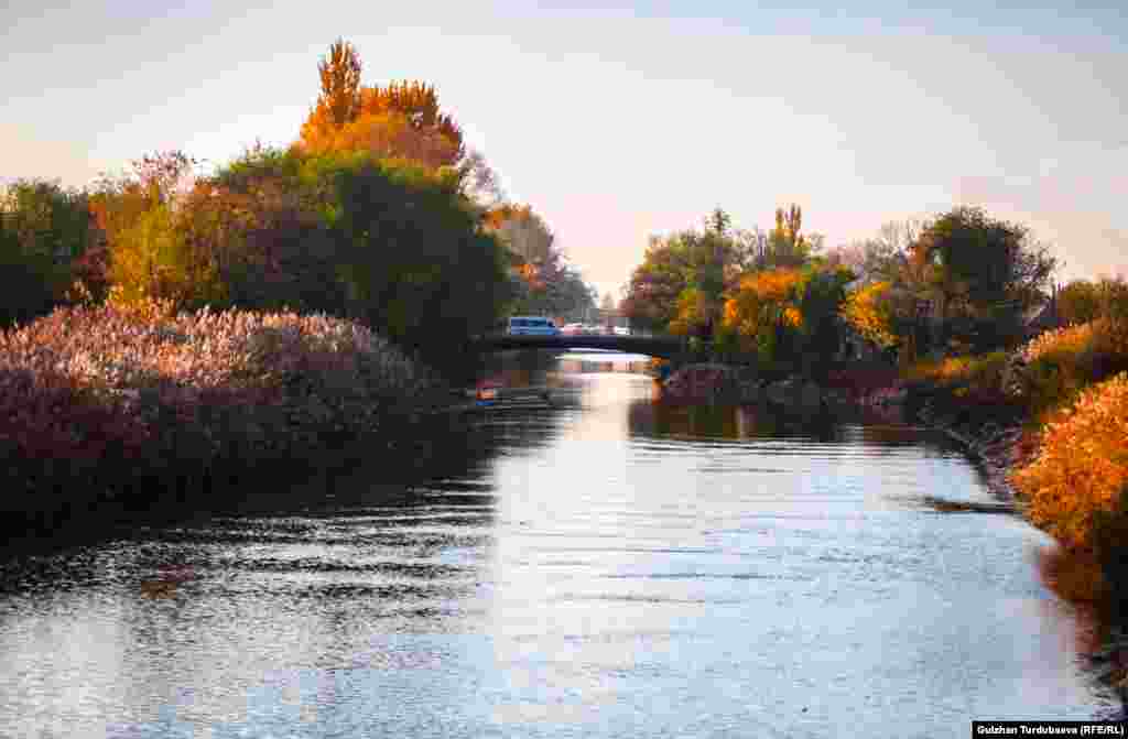 Сарсанаалуу адамдарды ташыган, Трамвайдай келет жылып сары күз. Санаа, санаа, санаа баскан жылдардын, Кадырына жетпей койдук дагы биз. (Толук Бек Байзак)