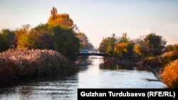 Иллюстрациялык сүрөт.