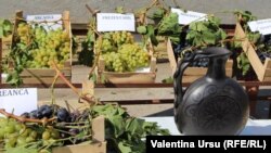 Struguri pe piața de la Cimișlia
