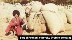 Illýustrasiýa suraty. 