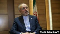 علی اکبر صالحی می‌گوید اگر برای ما نفعی نداشته باشد چرا باید در برجام باقی بمانیم.