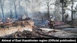 Лесной пожар в окрестностях Риддера, 10 мая 2021 года. 