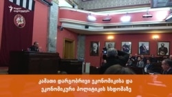 კამათი დარგობრივი ეკონომიკისა და ეკონომიკური პოლიტიკის სხდომაზე