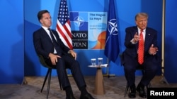 Дональд Трамп и Марк Рютте