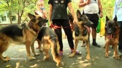 Луганчани доглядають тварин, кинутих на окупованій території