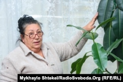 Елена Дорофеева