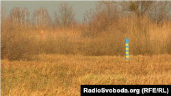 Український та білоруський прикордонні стовпчики біля річки Прип'ять у Рівненській області
