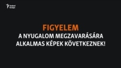 "Legyet esznek és kartonpapírt" - súlyos aszály Kazahsztánban