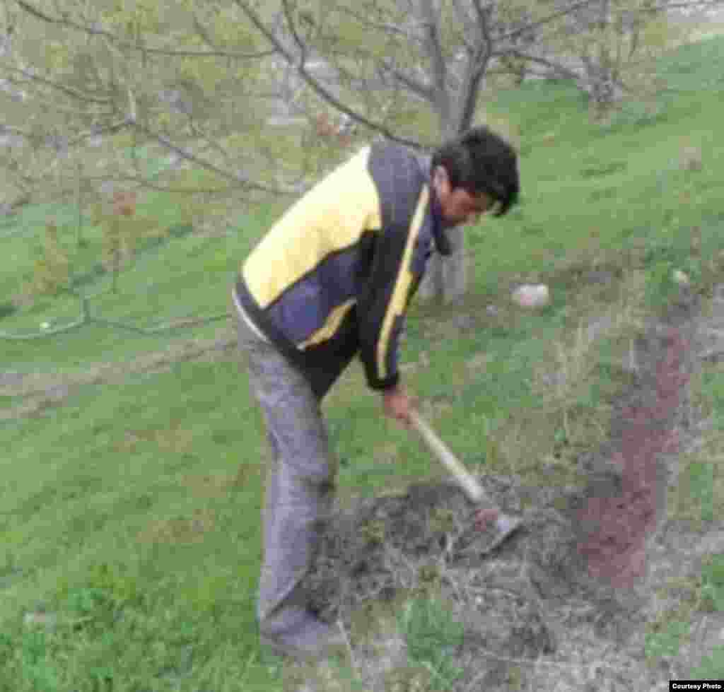 Автор - Сохибёр Толиб 