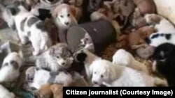 Ангар на территории мусороперерабатывающего завода в Чоганлы (архивное фото)  