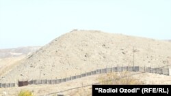 Истиқлол, Суғд