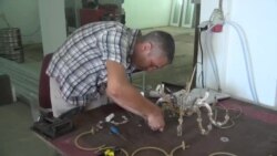 Hobi od kojeg se može živjeti