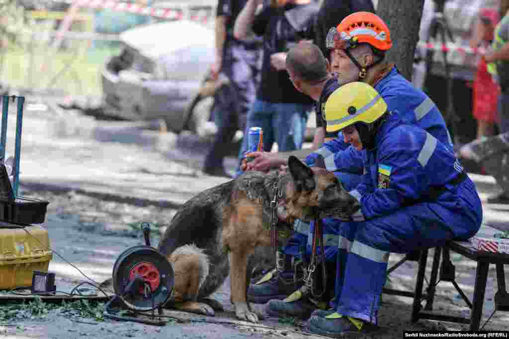 Рятувальники та кінологи під час перепочинку