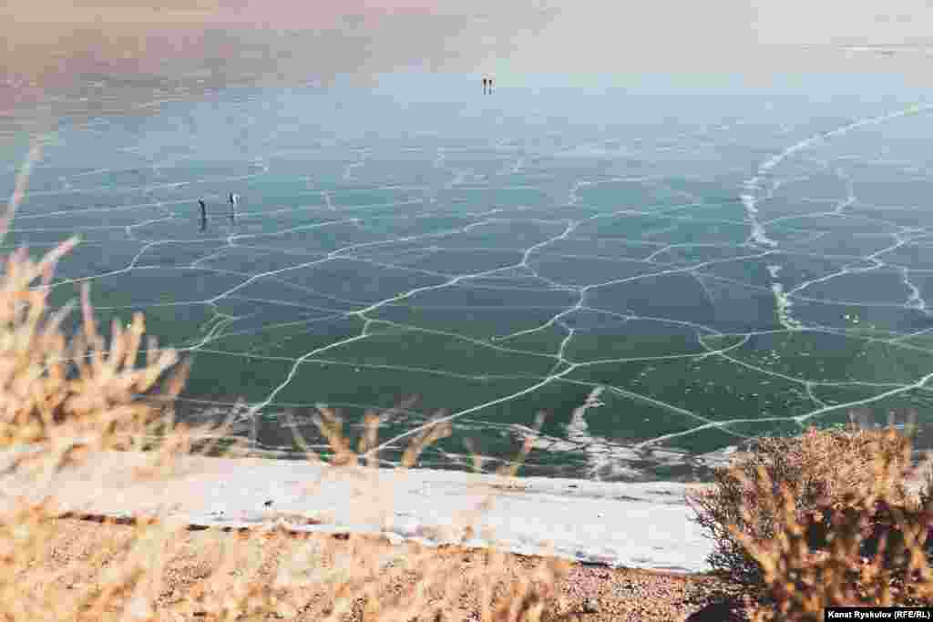 Летом в разных местах вода имеет свой цвет: где-то она нежно-голубая, где-то изумрудного оттенка, а где-то практически черная.