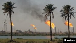 عکس تزیینی است.