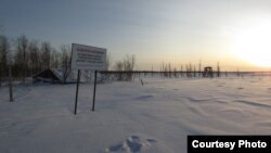 Сибирь - абактагылардын көбүнүн акыркы жайы болгон жер.