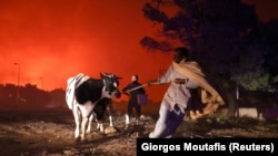 Emberek próbálják menteni a menthetőt Görögországban