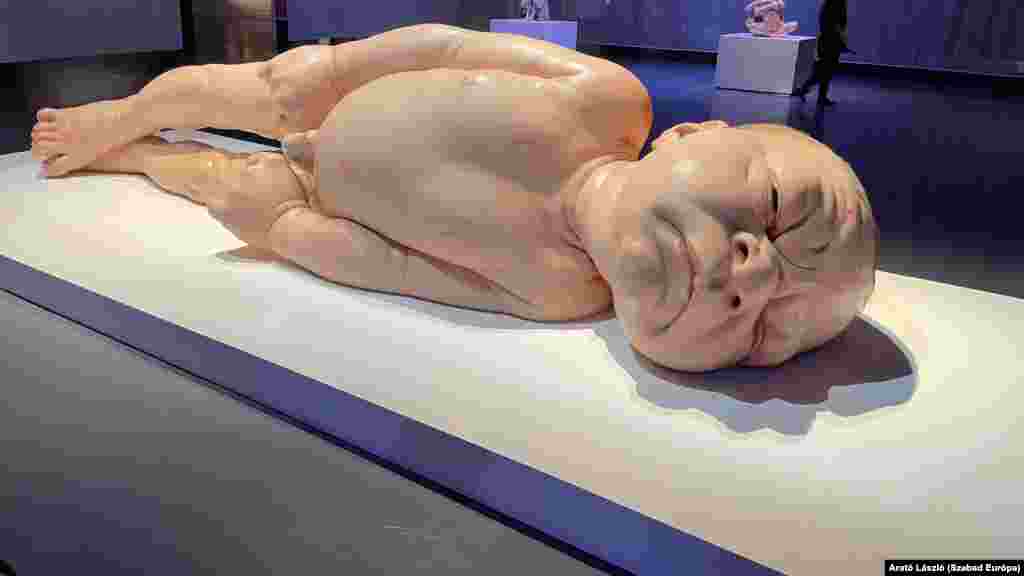 Ez az óriási csecsemő a kiállítás egyik leglátványosabb alkotása. A gyermek néhány perccel a születés után látható, a köldökzsinórt éppen csak elvágták. (Ron Mueck alkotása)