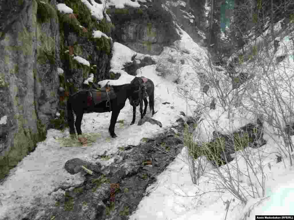 Азыркы тапта 100 жыл мурдагы кандуу көтөрүлүштөн кийин чек аранын ары жагында болгон окуяларды тасмага түшүрүү үчүн &nbsp;Кытай мамлекети менен сүйлөшүүлөр болуп жатат. Бул тууралуу тасманын продюсери жана сценарийинин автору Мухтар Атаналиев билдирди.&nbsp;