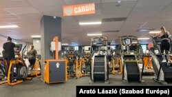 A kardiószekcióban bőséges a választék