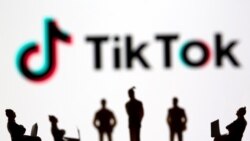 'Milioni veličaju Ratka Mladića na TikToku'