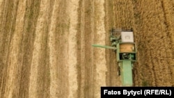 Korrja e grurit afër Prishtinës. Fotografi ilustruese nga arkivi.