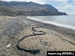 Сітки, що виловлюють мазут, на пляжі Меганом завалені галькою