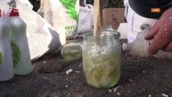 Процес приготування «коктейлів Молотова» – кияни готуються зустрічати російських військових (відео)