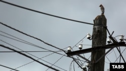 Иллюстрациялык сүрөт.