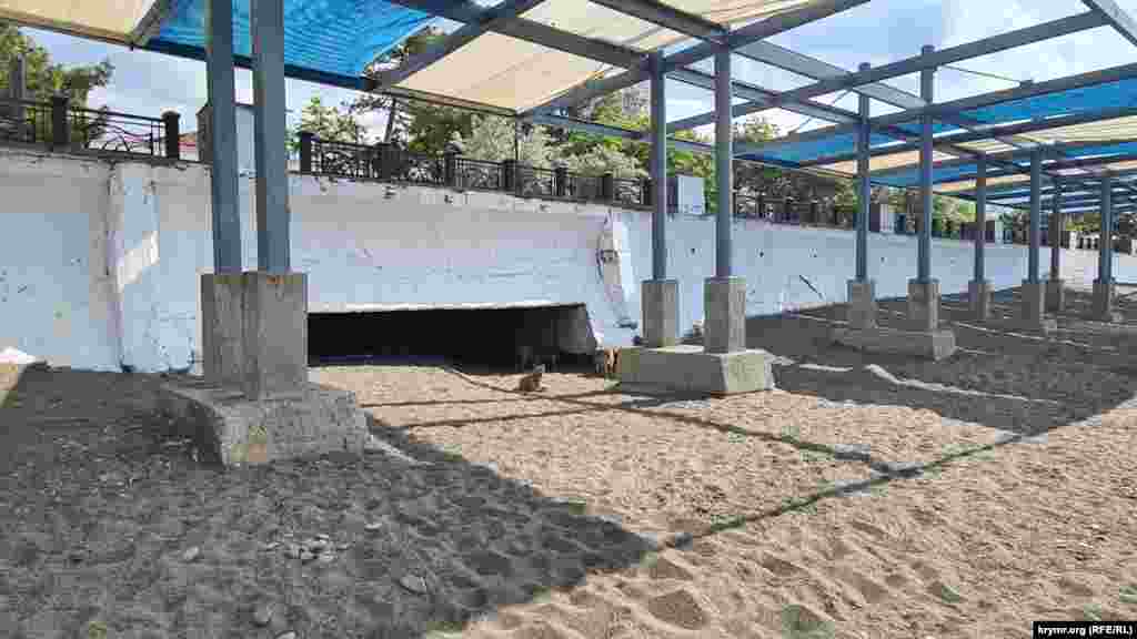 Зграя безпритульних псів знайшла собі притулок прямо на міському пляжі. Судак, Крим, початок червня 2025 р.